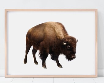 Bison Print, Buffalo Wall Art, Digital Download, Animal Poster Print, Bison Poster, Bison Digital Print, Bison Wall Decor, Wildlife Print