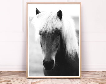 Horse Print, Black and White Horse Photo, Digital Download, Horse Printable Art, Horse Wall Art Print, Large Horse Poster, Horse Nursery Art