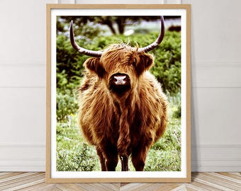 Highland Cow Printable Art, Highland Cow Photography, Farm Art Print, Animal wall art, Highland Cow Poster, Scottish Cow Art Print, Cow Art