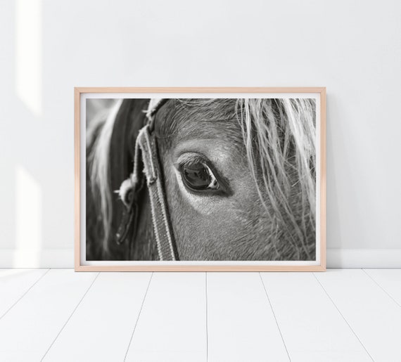 Black And White Horse Print Horse Closeup Printable Art Etsy