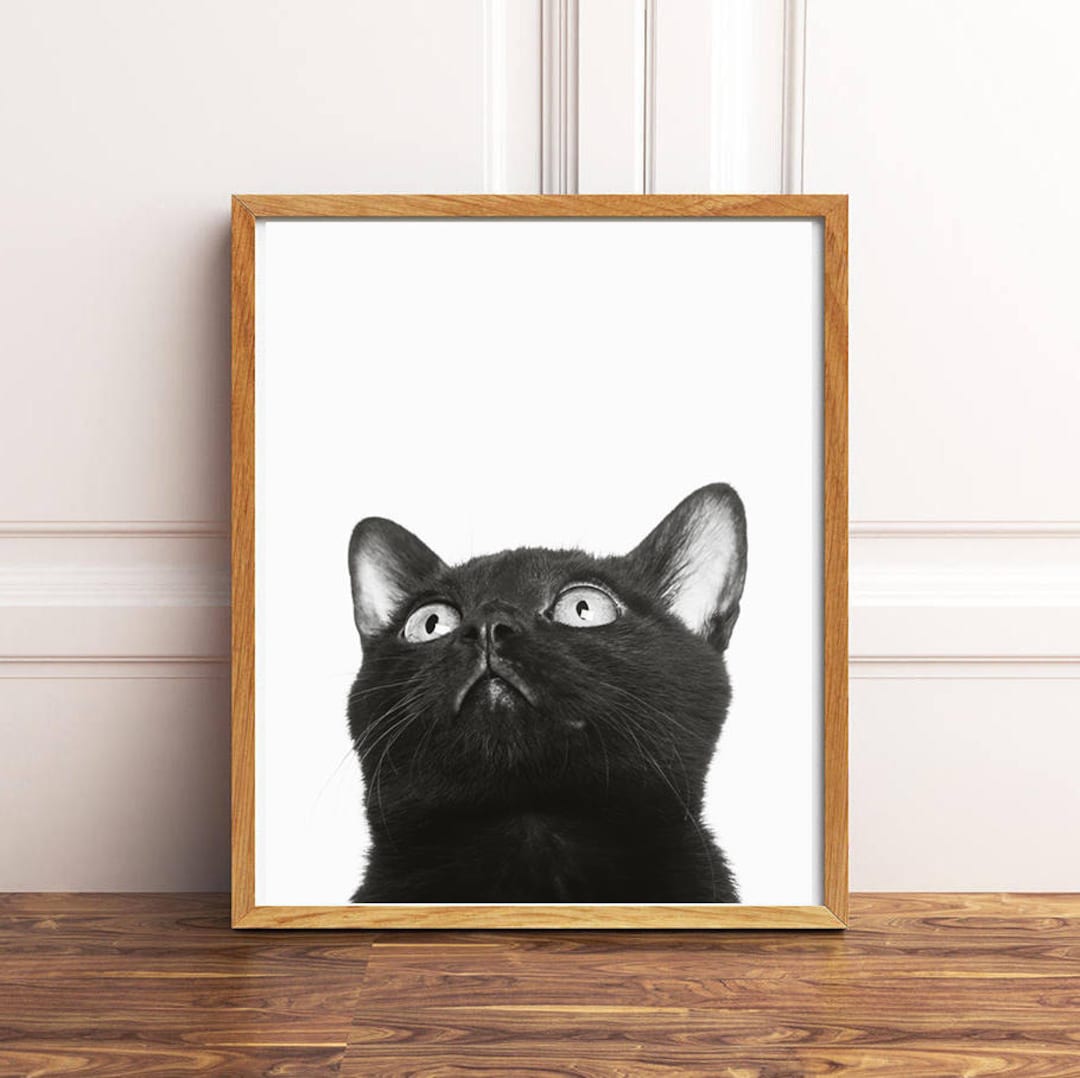 Black Cat Print, Cat Printable Art, Black and White Cat Wall Art, Black ...