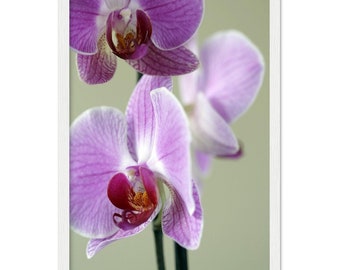 Purple orchid flower Wooden Framed Poster, new home gift, apartment decor, wall art living room, office wall decor, aesthetic wall art