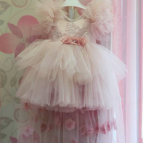 Flower girl lace dress, girls blush tulle party dress, toddler pageant dress, girls light pink birthday dress, girl luxury train tulle dress