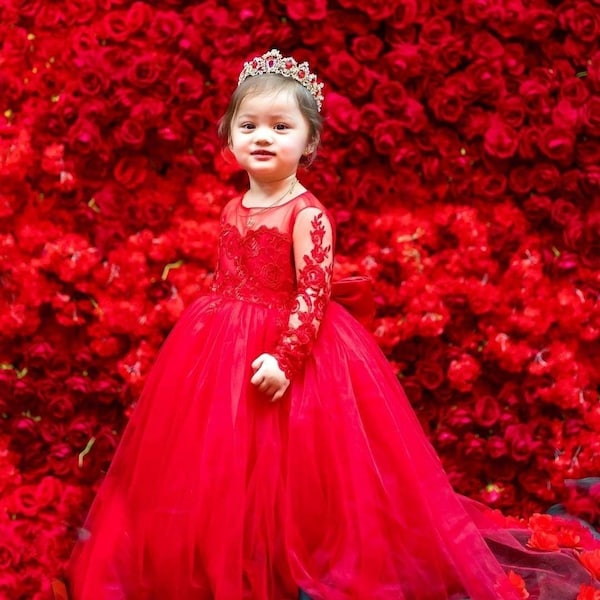 Flower girl tulle dress, girls red lace dress, toddler party dress, girls pageant dress, girls birthday dress, girl luxury train tulle dress
