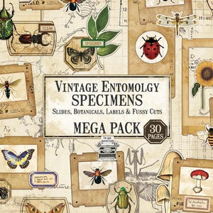 May include: A collection of vintage entomology specimens featuring insects, butterflies, beetles, and botanical illustrations on paper. The set includes slides, labels, and fussy cuts with text reading VINTAGE ENTOMOLOGY SPECIMENS MEGA PACK.