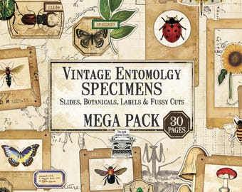 Vintage Entomology Specimens | Botanical Labels, Microscope Slides, Fussy Cuts, Junk Journal Printable, Specimens, Nature Ephemera