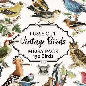 May include: A collection of vintage bird cutouts, featuring various species in vibrant colors. The image includes an owl, woodpeckers, and other birds, with the text "Fussy Cut Vintage Birds MEGA PACK 132 Birds."
