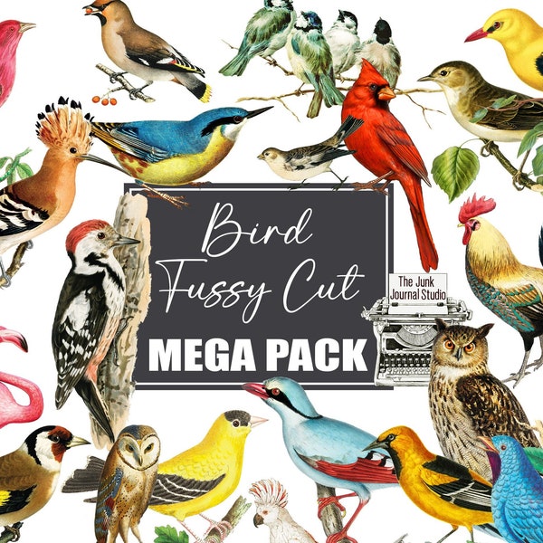 Bird Fussy Cut Mega Pack, 280 pájaros digitales de corte quisquilloso, pájaros digitales, pájaros de corte quisquilloso imprimibles, diarios basura de efímeras de pájaros, diario de pájaros