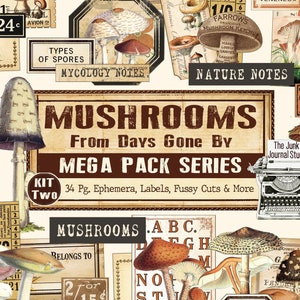 Funghi dei tempi andati digitale, Kit diario di funghi spazzatura 2, Abbellimenti di funghi, Tagli di funghi elaborati, Effimere di funghi digitale