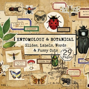 Huge Specimen Slide Kit, Entomology and Botanical Digital Kit, Specimen Digital, Insect and Botanical Fussy Cuts, Entomology Labels Digital