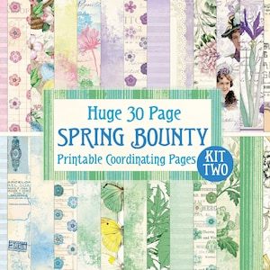 May include: A digital printable kit with 30 pages of coordinating designs featuring floral patterns, butterflies, and vintage text. The kit is titled "Huge 30 Page Spring Bounty Kit Two".