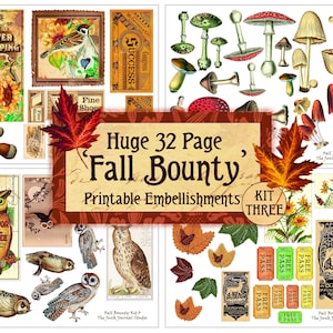 Huge Fall Bounty Embellishment Kit, Autumn Junk Journal Digital, Autumn Fussy Cuts Kit, Fall Ephemera Digital, Mushroom Digital Journal kit