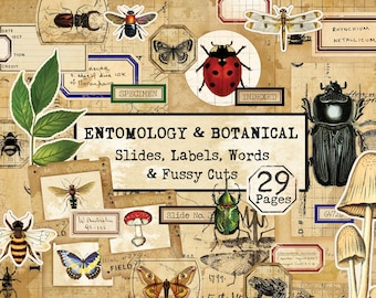 Huge Specimen Slide Kit, Entomology and Botanical Digital Kit, Specimen Digital, Insect and Botanical Fussy Cuts, Entomology Labels Digital