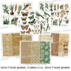 May include: Printable collage sheet with botanical illustrations, including butterflies, mushrooms, flowers, and leaves. The sheet also includes a vintage calendar and patterned paper. The text "The Junk Journal Studio" appears on the sheet.