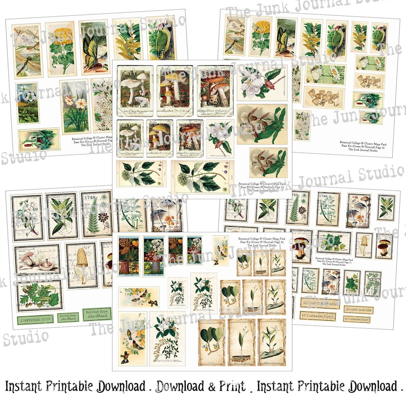 May include: A digital collage sheet with 36 vintage botanical illustrations. The images feature mushrooms, flowers, plants, and insects. The sheet is perfect for scrapbooking, card making, and other paper crafts.