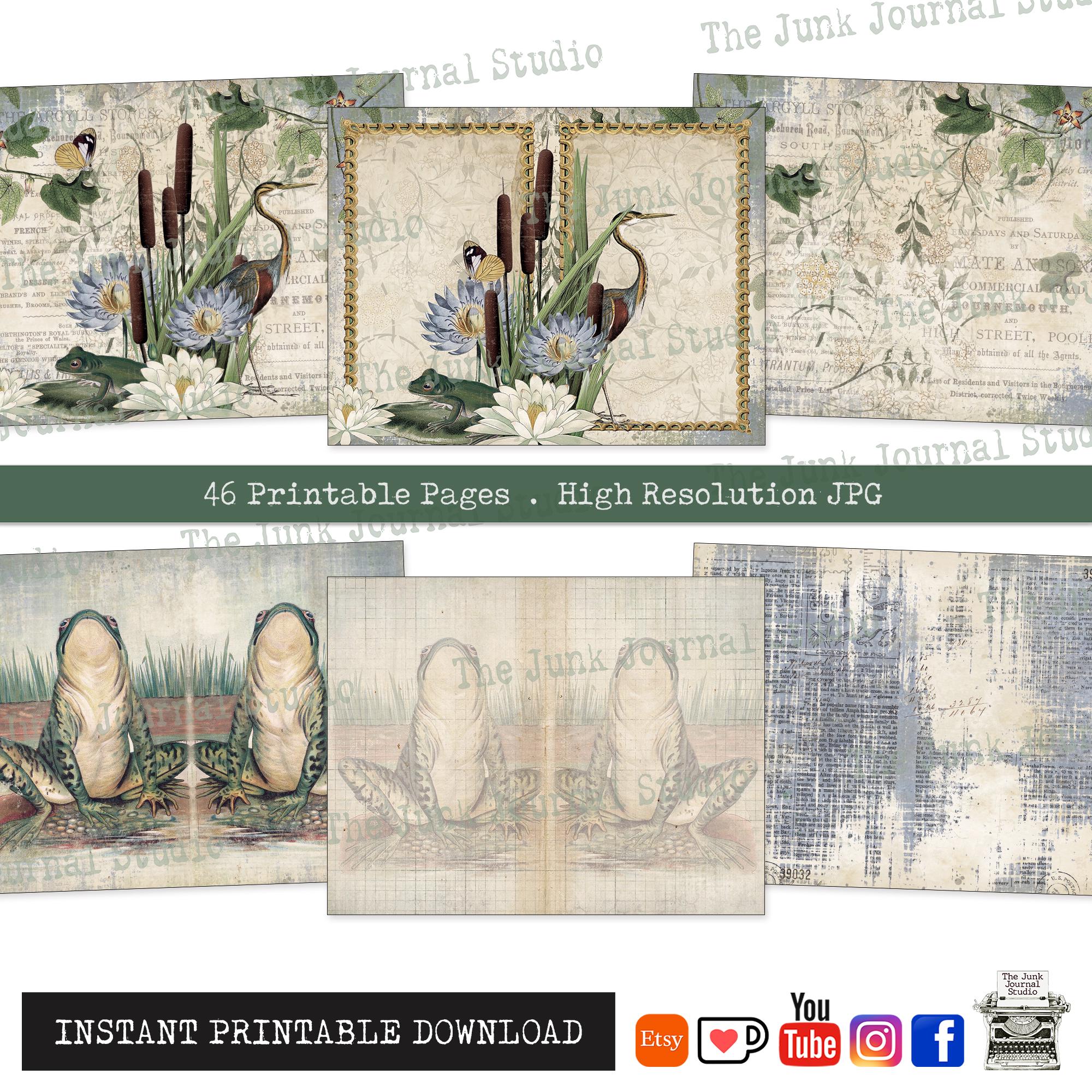 Pondside Curiosities Journal Pages – Frog Junk Journal Kit, Vintage ...