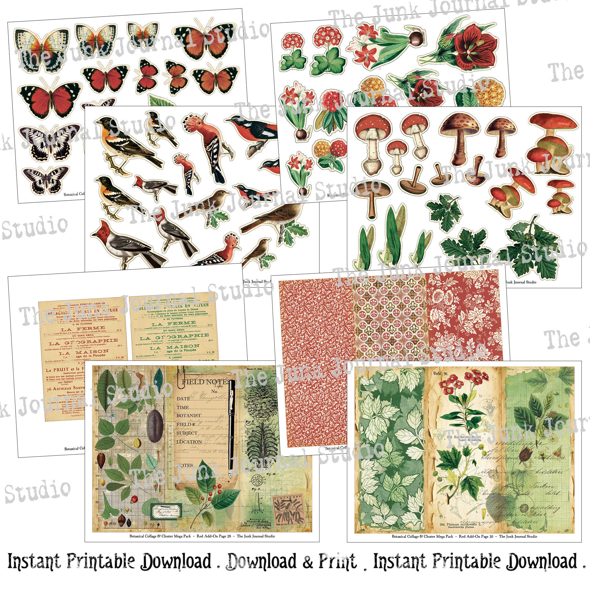 MEGA PACK - Botanical Collage Cluster Kit Series, Add-0n Red, Botanical ...