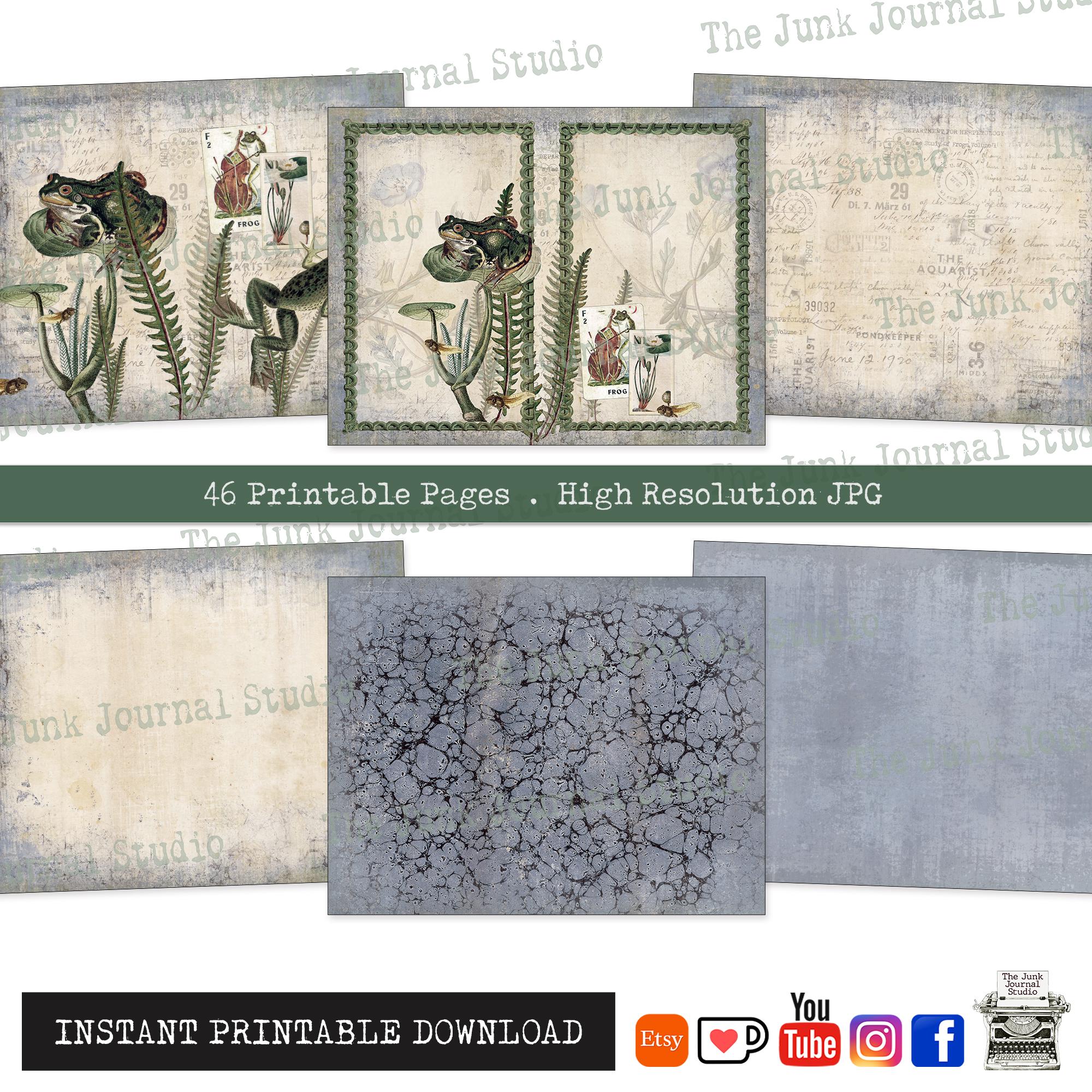Pondside Curiosities Journal Pages – Frog Junk Journal Kit, Vintage ...