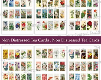 おすそ分けファイル❤︎tea tea様 限定版ステッカー込み