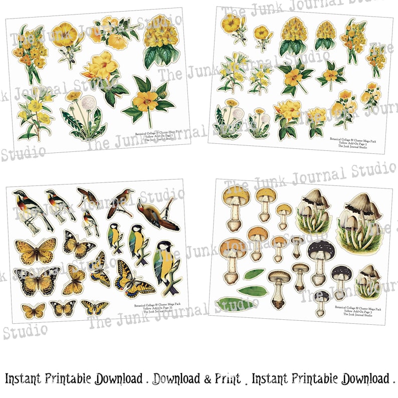 MEGAPACK - Botanical Collage Cluster Kit Series, Add-0n Yellow ...