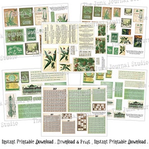 May include: A digital collage sheet with vintage botanical illustrations, text, and grid patterns. The sheet features green, brown, and white colors. The text includes "MEMORIAS", "AGRICULTURA, COMERCIA", and "Botanical Collage 8 Charts Map Pack".