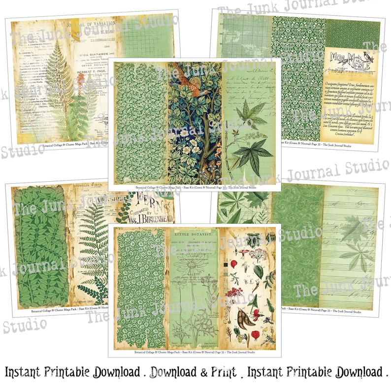 May include: A digital collage sheet with a green and white color scheme featuring botanical illustrations, including ferns, flowers, and leaves. The sheet includes text such as "Fern, Cultivated by W.J. Birkenhead" and "Little Botanist".