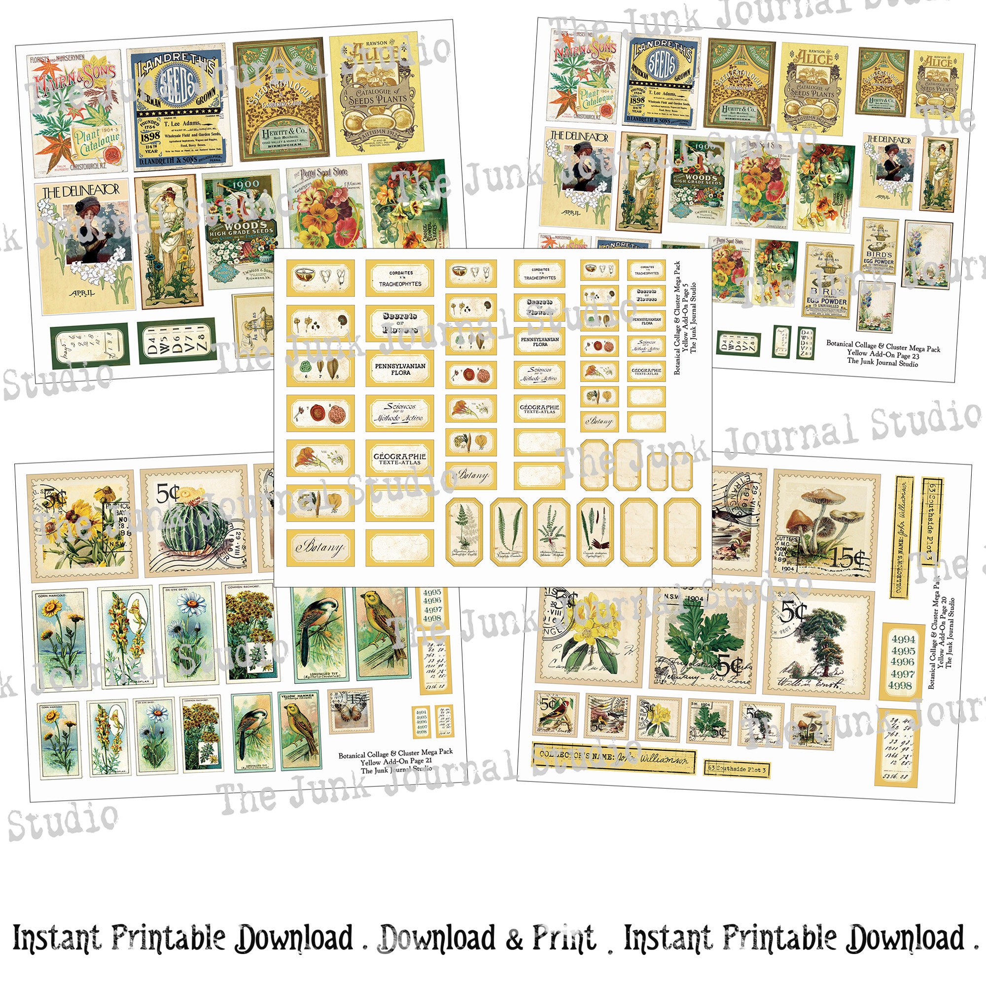 MEGAPACK - Botanical Collage Cluster Kit Series, Add-0n Yellow ...