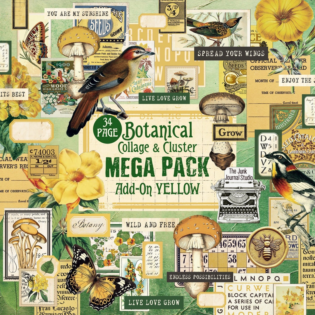MEGAPACK - Botanical Collage Cluster Kit Series, Add-0n Yellow ...