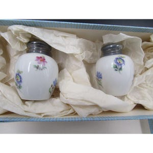 Vintage E Albrecht Switzerland Porcelain Salt & Pepper Shakers Floral Design