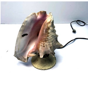 Könnte beinhalten: Eine rosa und braune Muschellampe mit einem weißen Sockel und einem schwarzen Stromkabel.