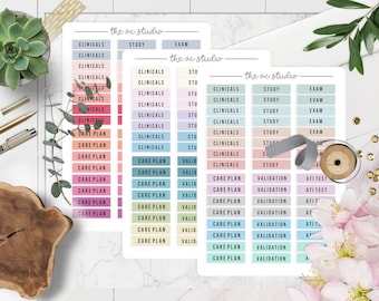 BUNDLE! Nursing School Planner Stickers, Student Planner Stickers, Academic Stickers for Nursing School Set 2 (Set of 3 Sticker Sheets)