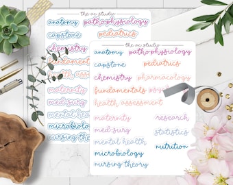 Nursing School Class Binder Labels Stickers, Nursing Student Stickers, Nursing School Planner Stickers (Version 5)
