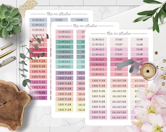 BUNDLE! Nursing School Planner Stickers, Student Planner Stickers, Academic Stickers for Nursing School Set 3 (Set of 3 Sticker Sheets)