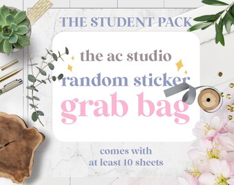 Mystery Grab Bag - Student Pack - Planner kit stickers, Comes with at least 10 sheets