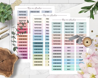 BUNDLE! College Planner Stickers, Block Text, Student Planner Stickers, School Planning Stickers, Set 4 (Set of 3 Sticker Sheets)