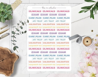 Nursing School Planner Stickers, Nursing Student Planner Stickers, Study Planner Stickers (Floral Script Version)