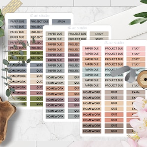 May include: Three sheets of planner stickers with labels such as "Paper Due," "Project," and "Homework." The stickers are in various pastel colours. The image also includes a succulent, pens, and decorative items.