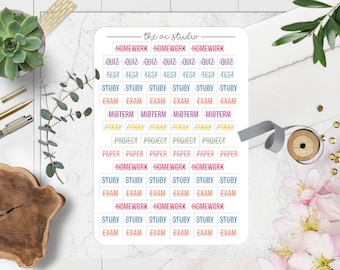 Student School Planner Stickers, Nursing Student Planner Stickers, College Planner Stickers (Floral Script Version)
