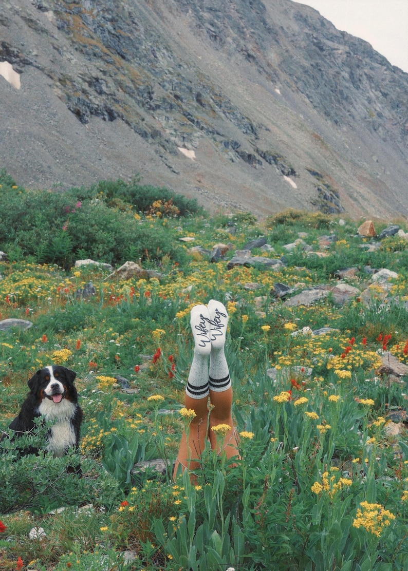 May include: A black and white Bernese Mountain Dog sits in a field of wildflowers. A person's legs are visible in the background, wearing white socks with black stripes and the word "Wife" written on them.