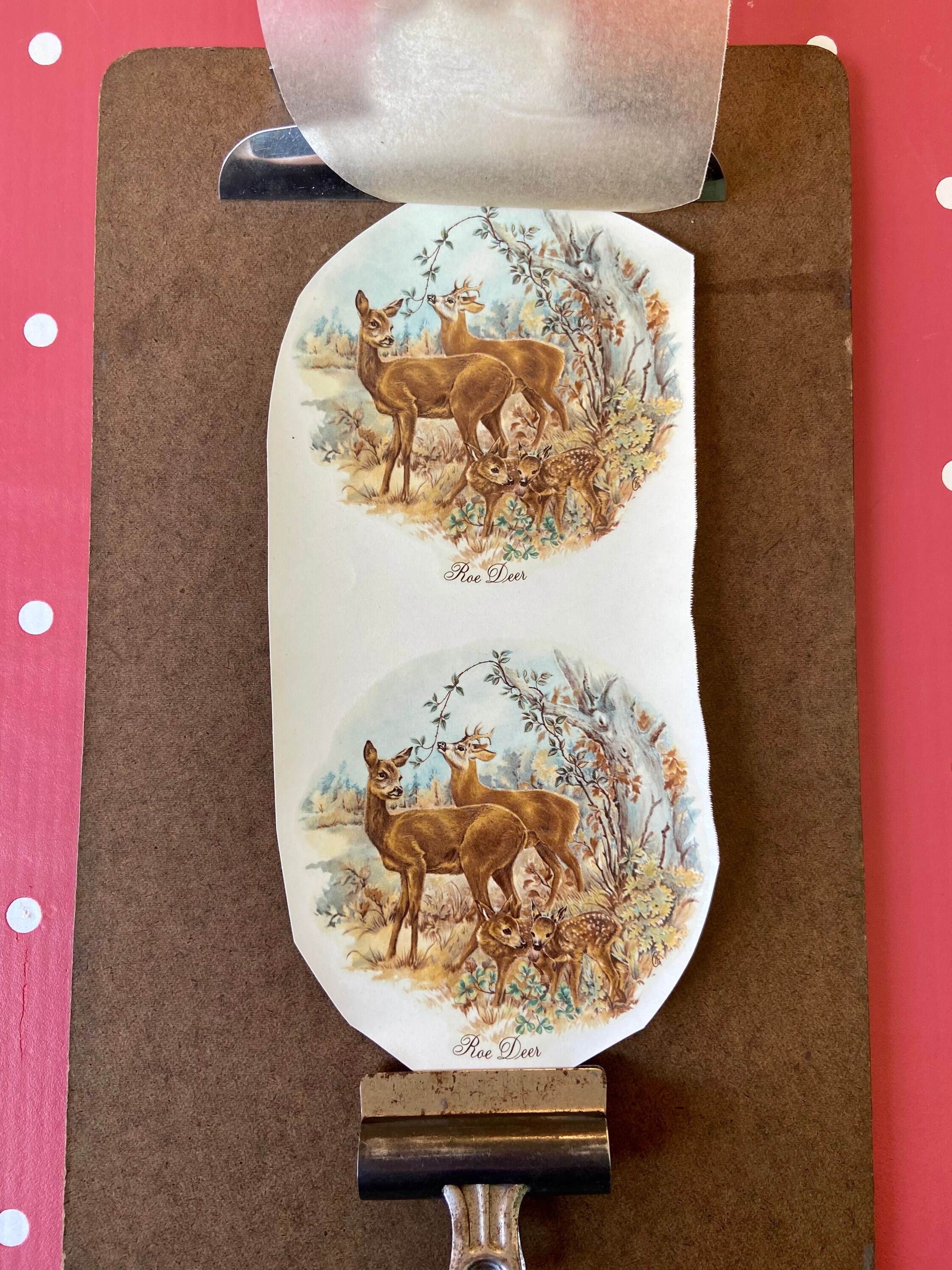 Vintage ceramic decals transfers water slide stokeonTrent Etsy