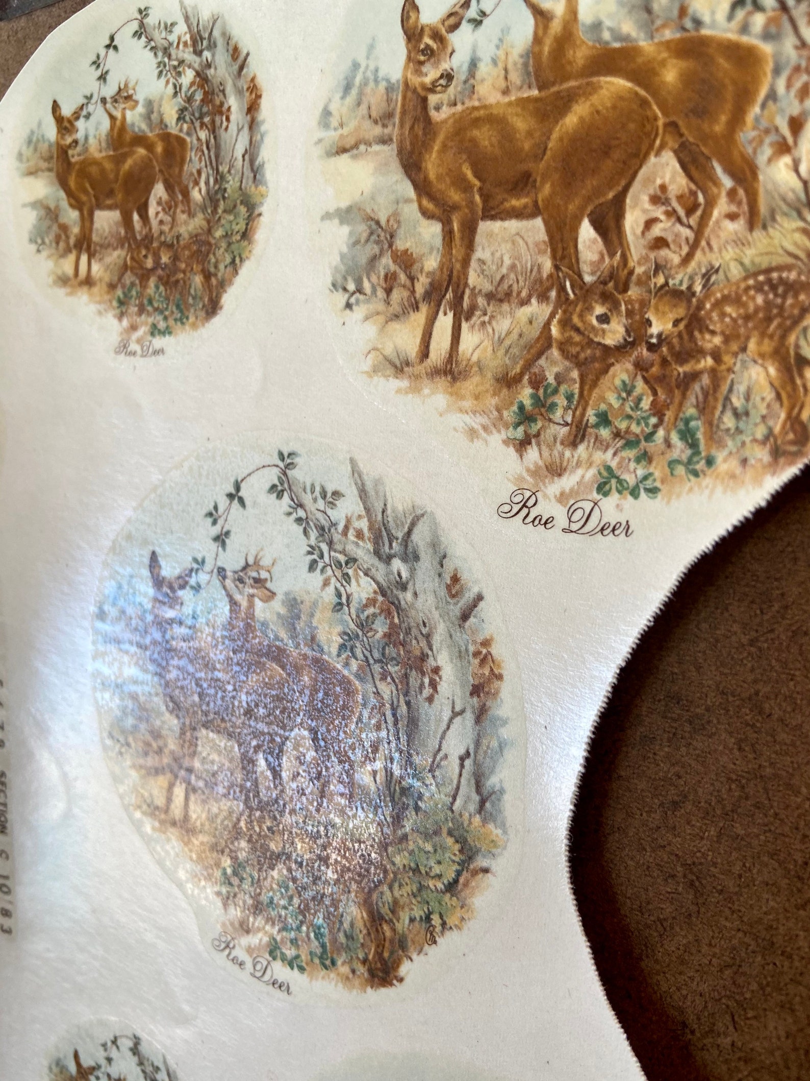 Vintage ceramic decals transfers water slide stokeonTrent Etsy