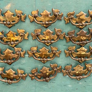 May include: Twelve antique brass drawer pulls arranged on a teal surface. Each pull features a decorative, ornate design with a curved handle and a detailed backplate. The brass has a warm, aged patina.