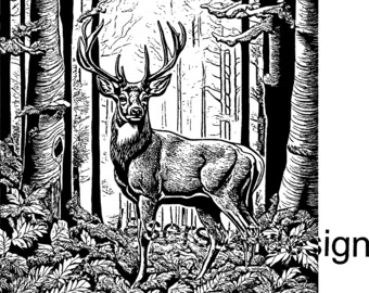 Buck Deer Vector