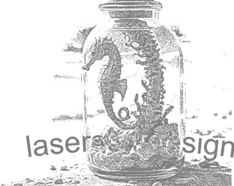 May include: A glass jar with a cork stopper, featuring a seahorse and other marine elements inside. The jar is labelled with the text "laser design". The seahorse is the main focus, with detailed features.