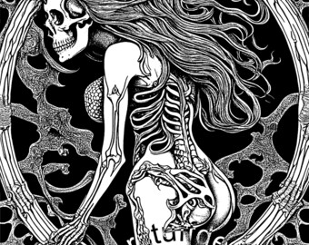 Mermaid Skeleton Vector svg