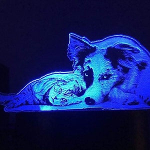 Custom Pet Light