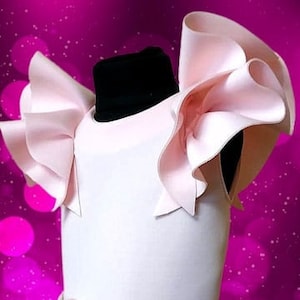 Macacão rosa claro para entrevistas, roupa rosa choque para concursos, macacão de neoprene para meninas, macacão rosa bolha para meninas, macacão personalizado com babados para concursos