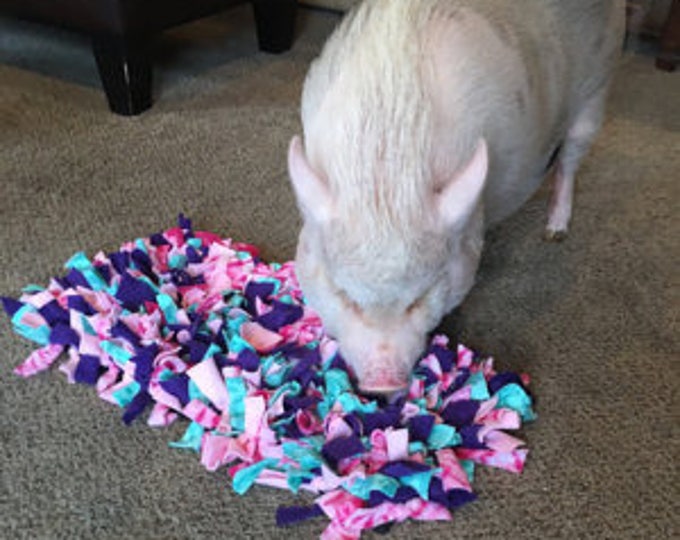 Xl WASHABLE Mini Pig/ Pet Snuffle Mat/ Rooting Mat/ Enrichment Etsy