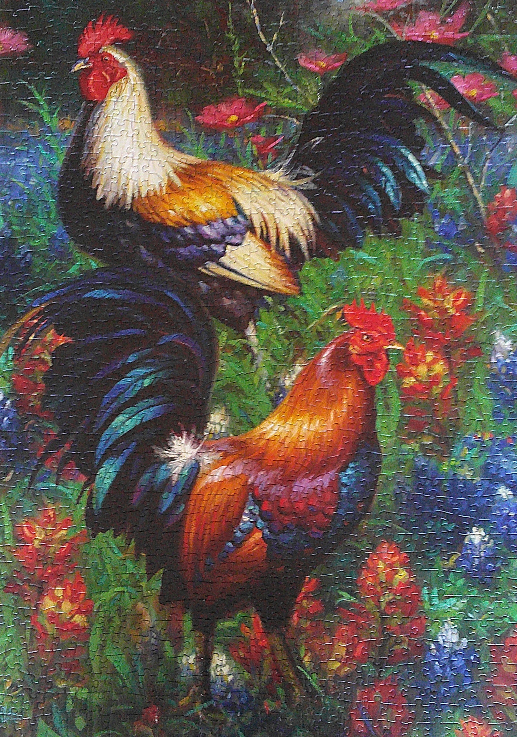 Rooster Jigsaw Puzzle Cobble Hill 1000 Piece Puzzle Colorful Etsy UK