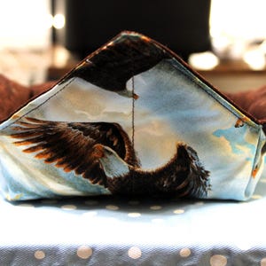 May include: A square, fabric bowl cozy with a brown interior and an exterior featuring a detailed eagle illustration against a blue sky. The cozy is designed to hold a bowl and protect hands from heat.